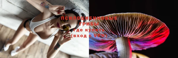 стафф Бугульма