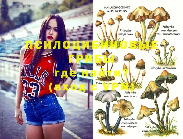прущая мука Бородино
